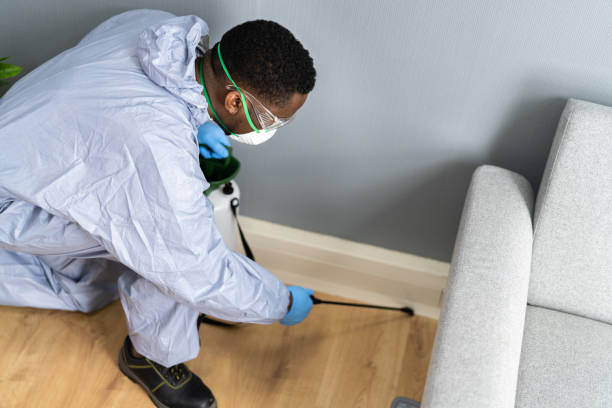 Best Real Estate Pest Inspections  in Picayune, MS